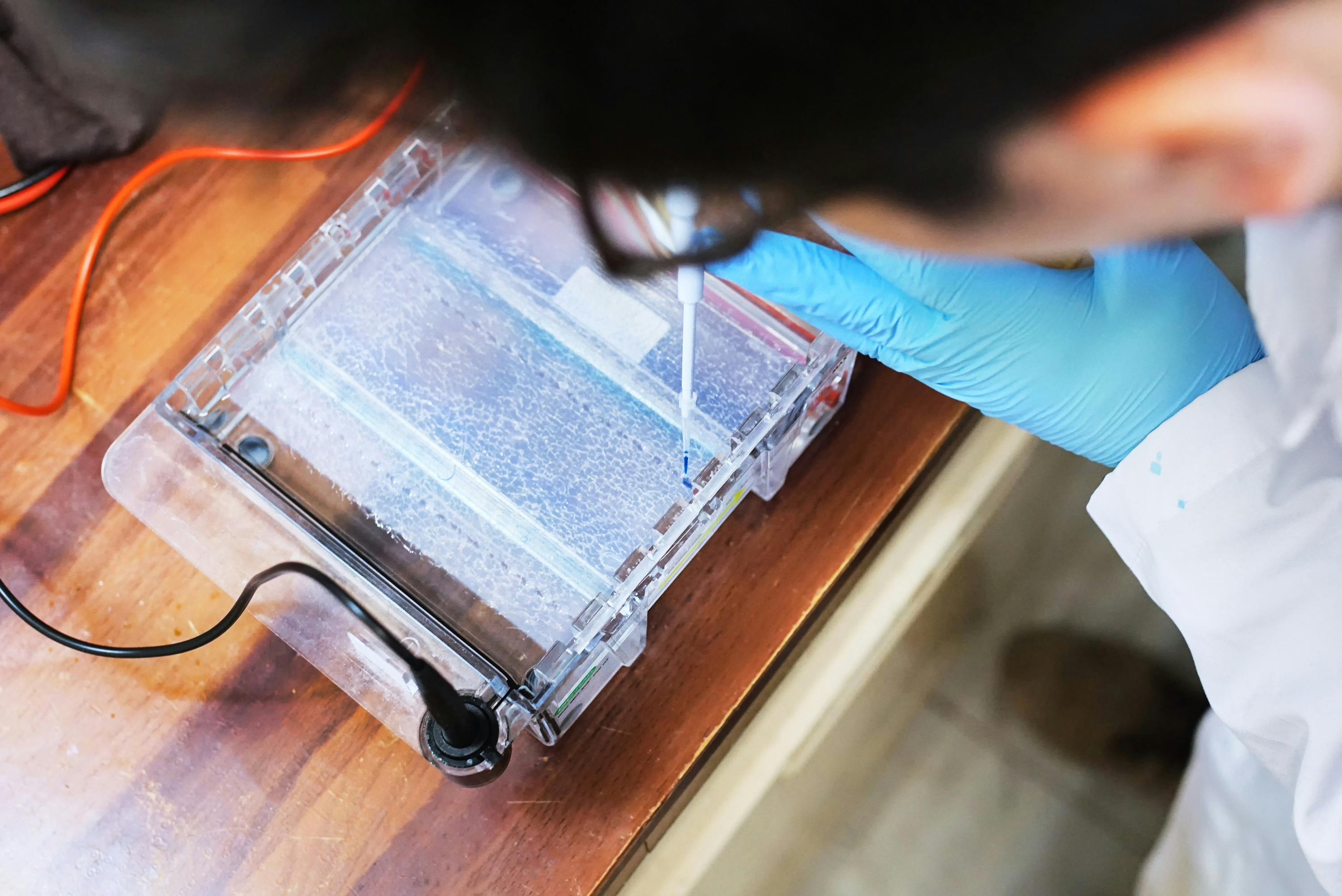 A scientist running DNA methylation lab tests.