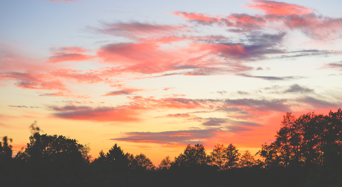 An image of a sunset over trees.