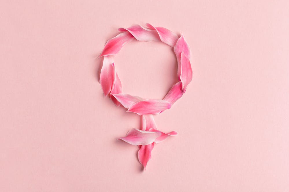 Female gender symbol made from rose petals on pink background
