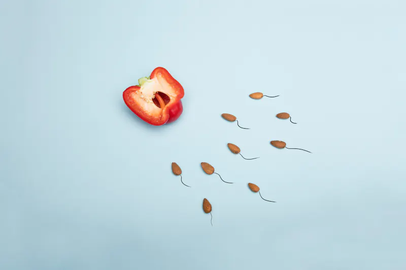Sperm swimming towards egg illustration with pepper and almonds
