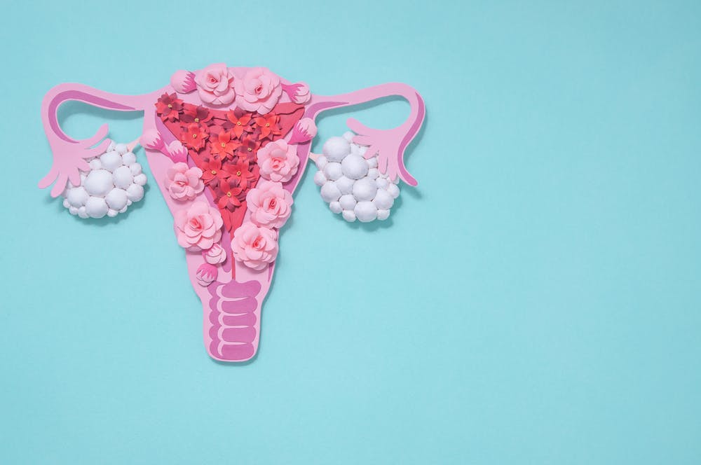 Female uterus on blue background