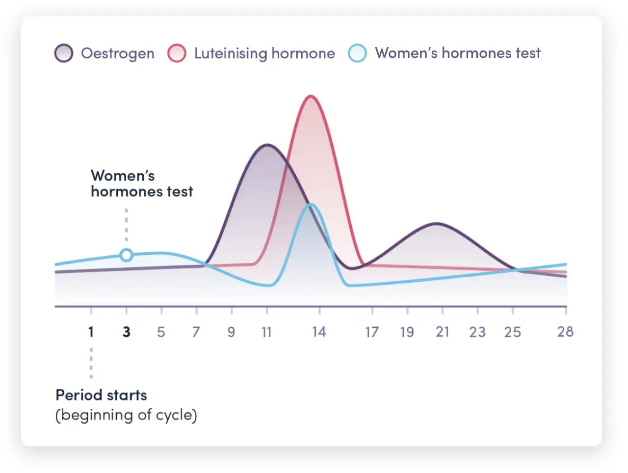 Women's hormones test infographic