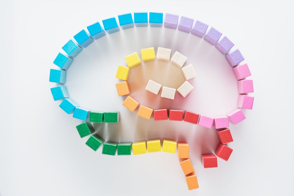 Human brain made of multi-coloured wooden blocks