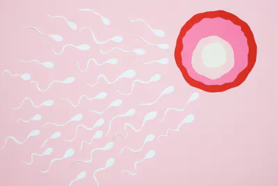 Paper cut-outs of sperm swimming up to an egg on a pink background