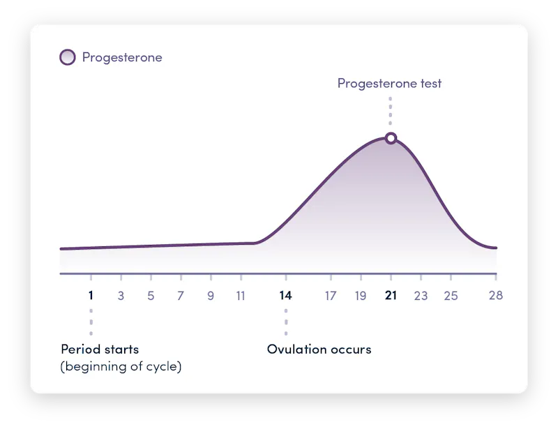 Ovulation blood test: testing your progesterone levels