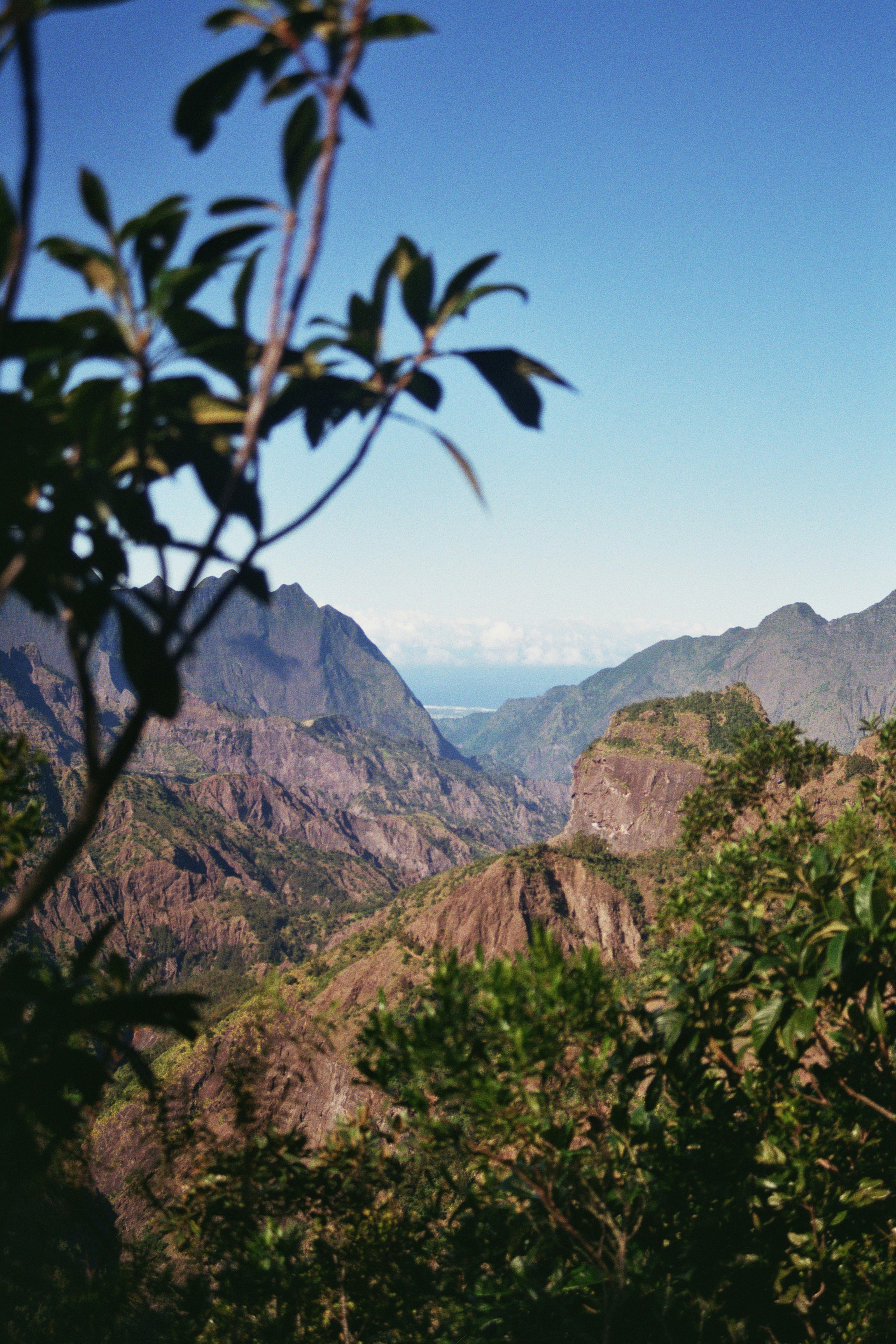 montagne ile de la réunion