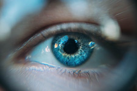 Hypnose