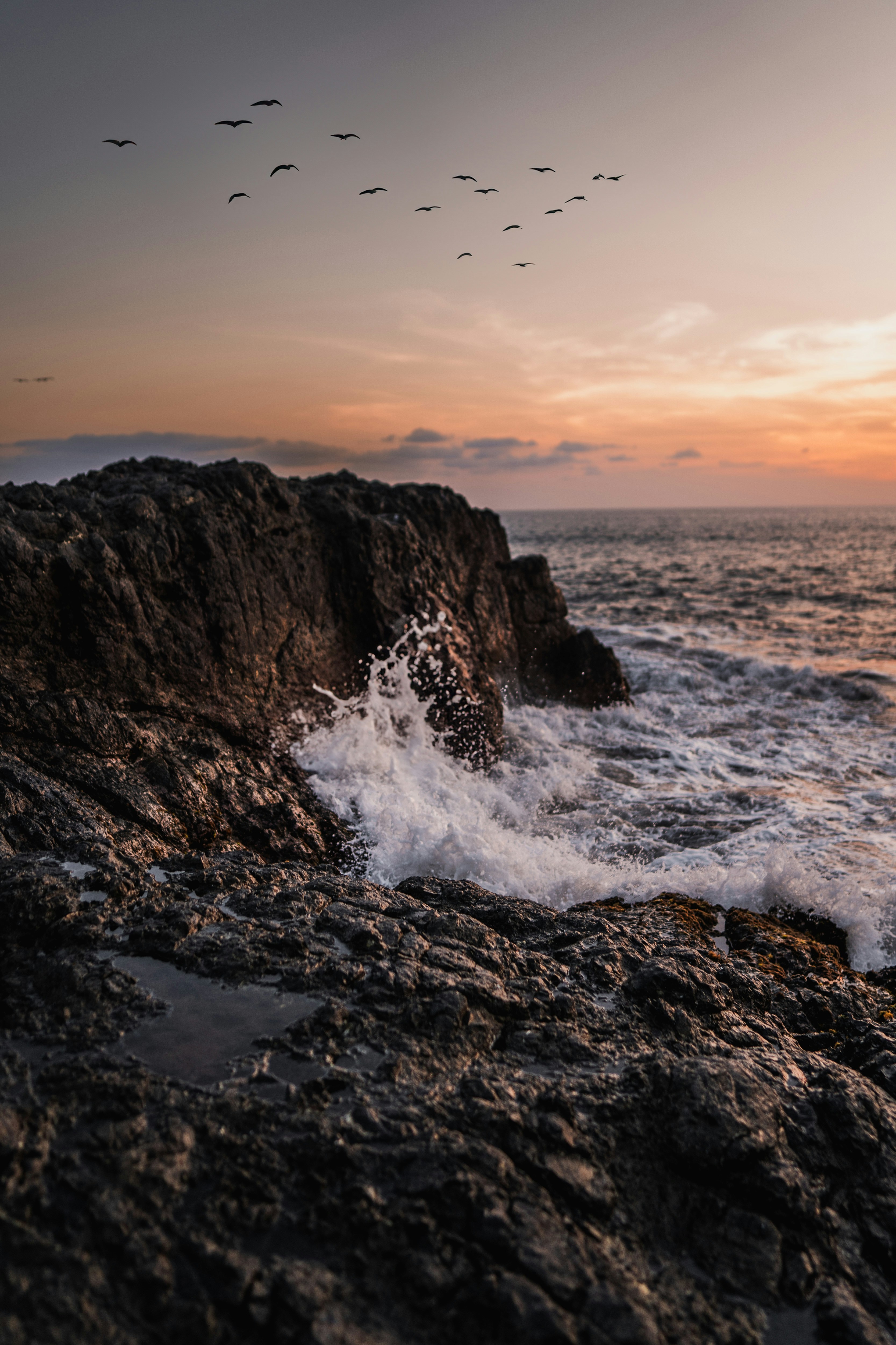 Illustration Isabelle