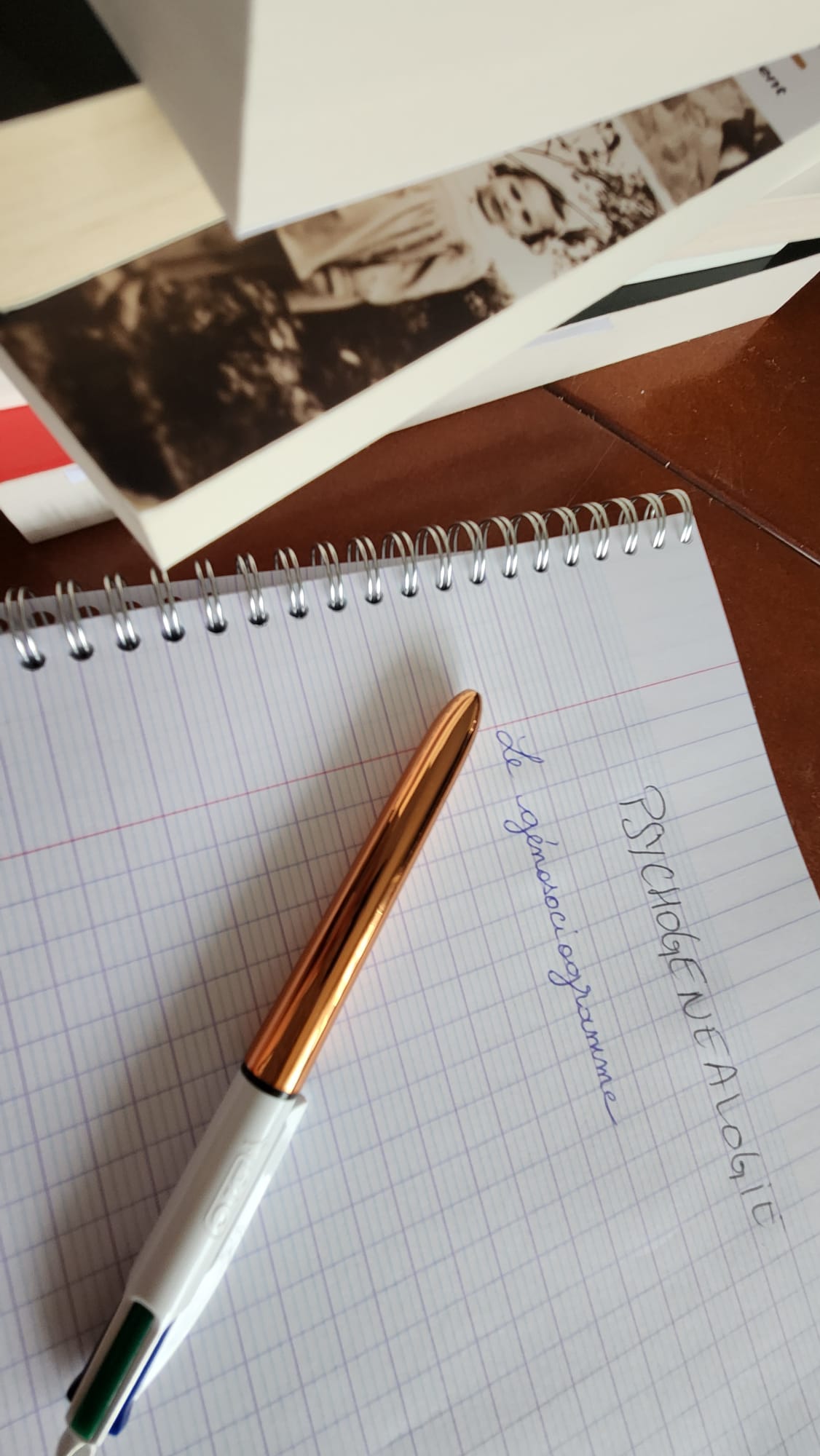 Formation en psychogénéalogie odile fuchs  saulxures les nancy 2026