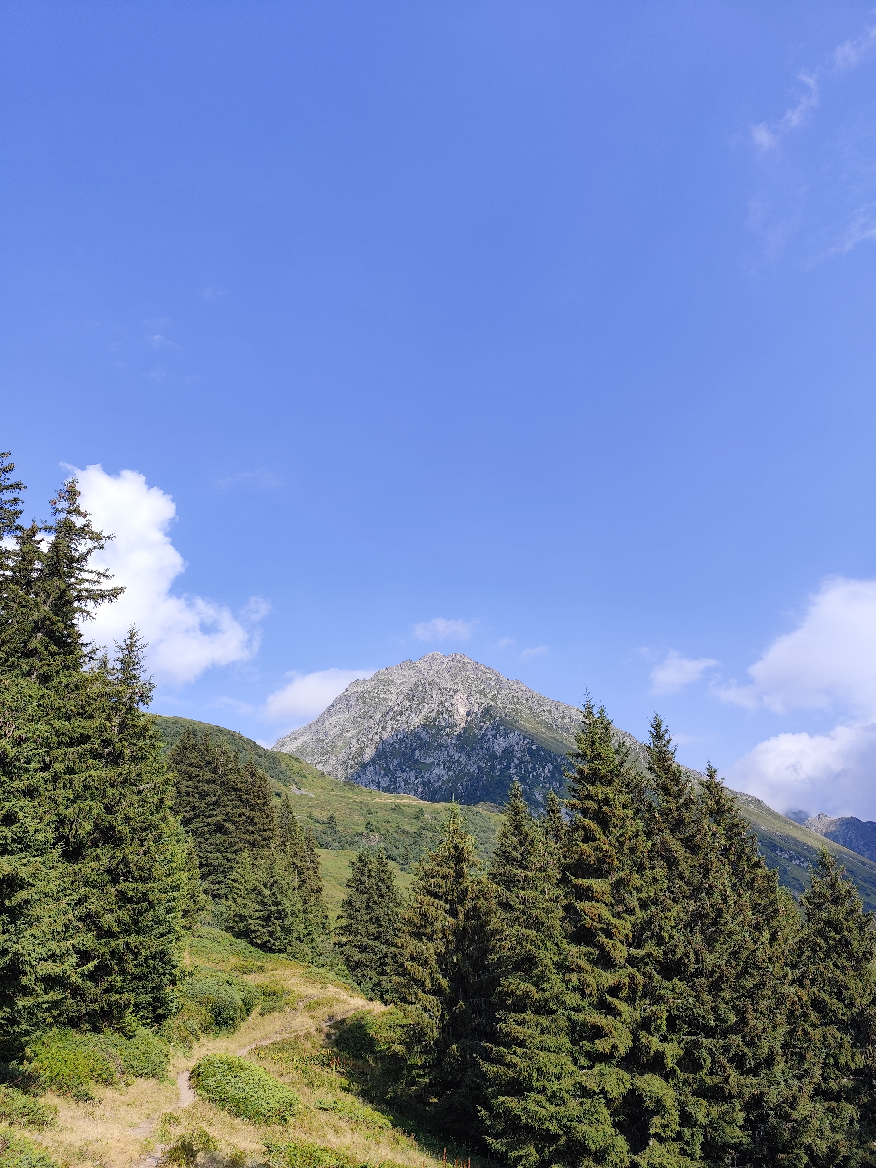 montagne savoie collectif tibria