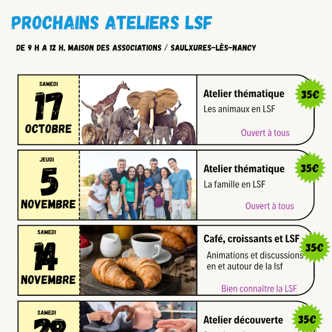 ateliers lsf saulxures les nancy