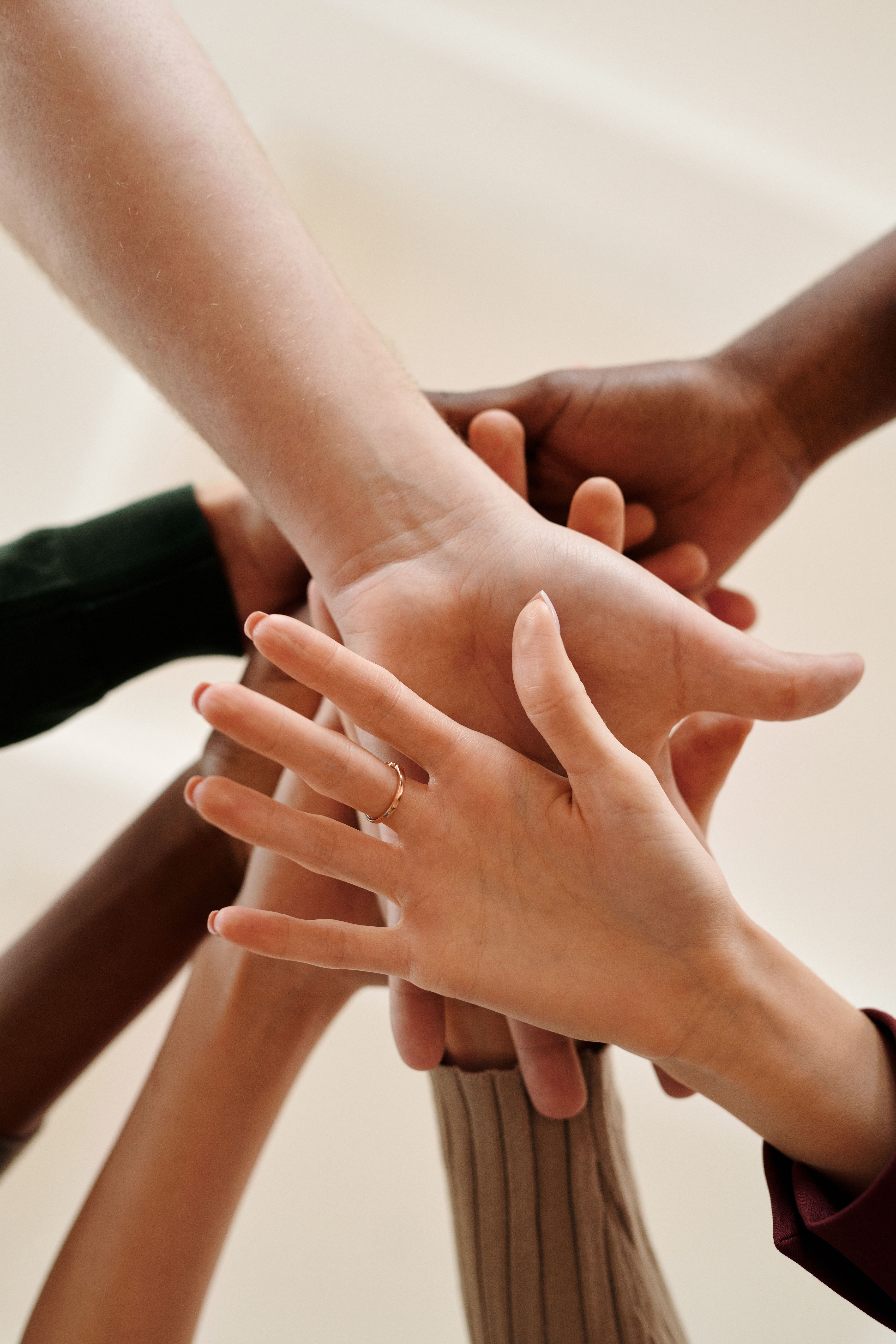partenaire de tibria collectif