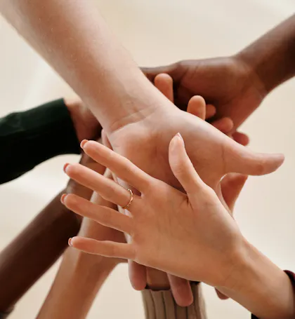 partenaire de tibria collectif