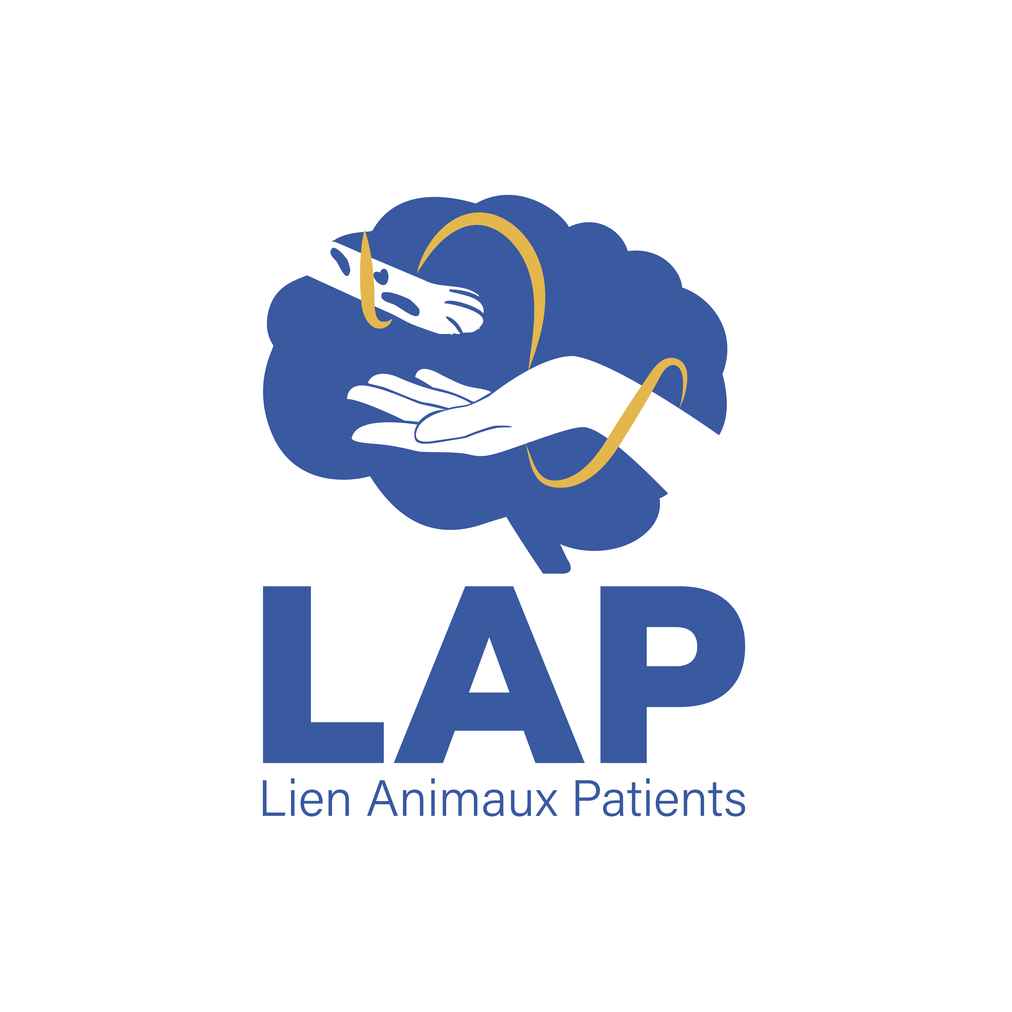 logo association Lien Animaux Patients