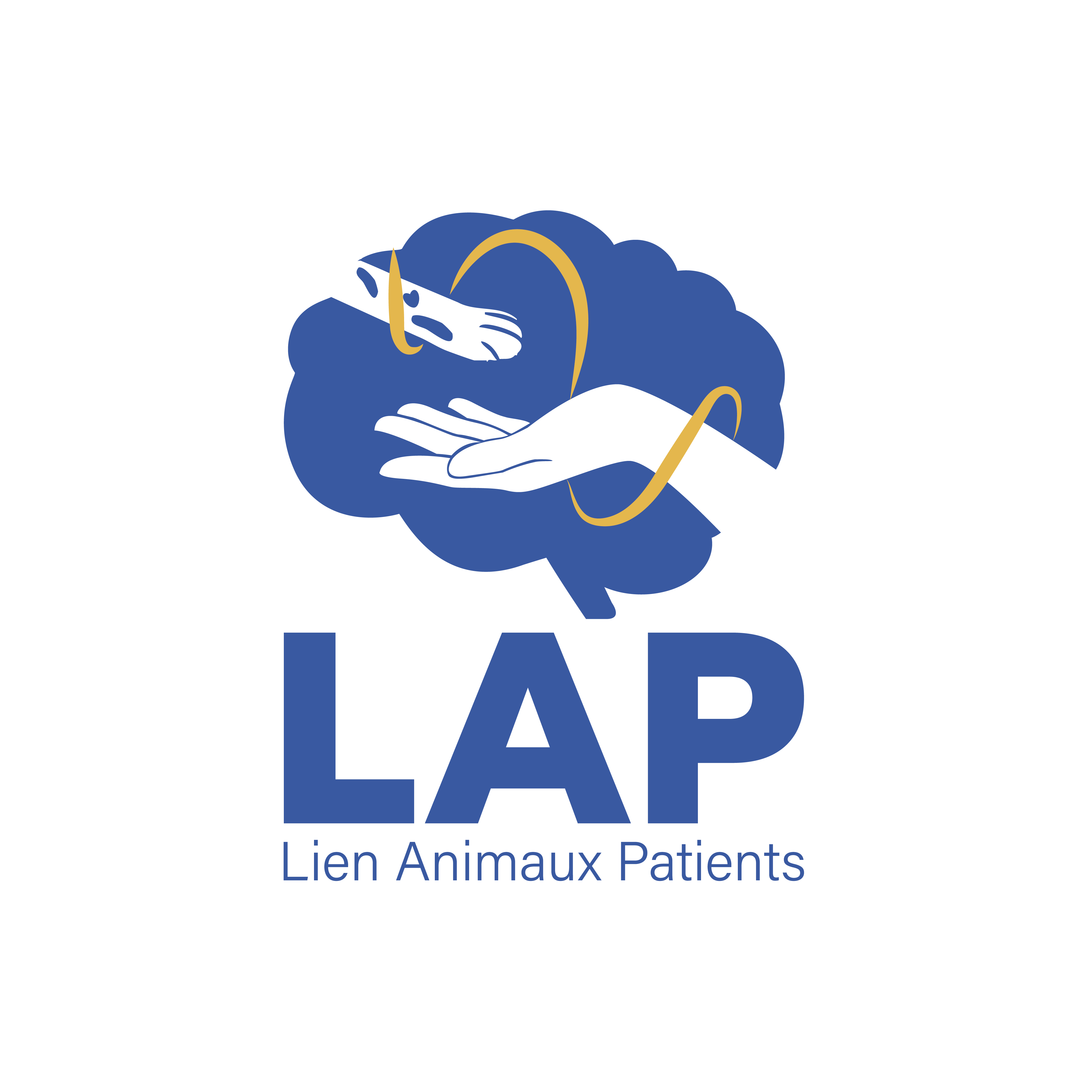 logo lap