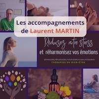 visuel article accompagnements laurent martin