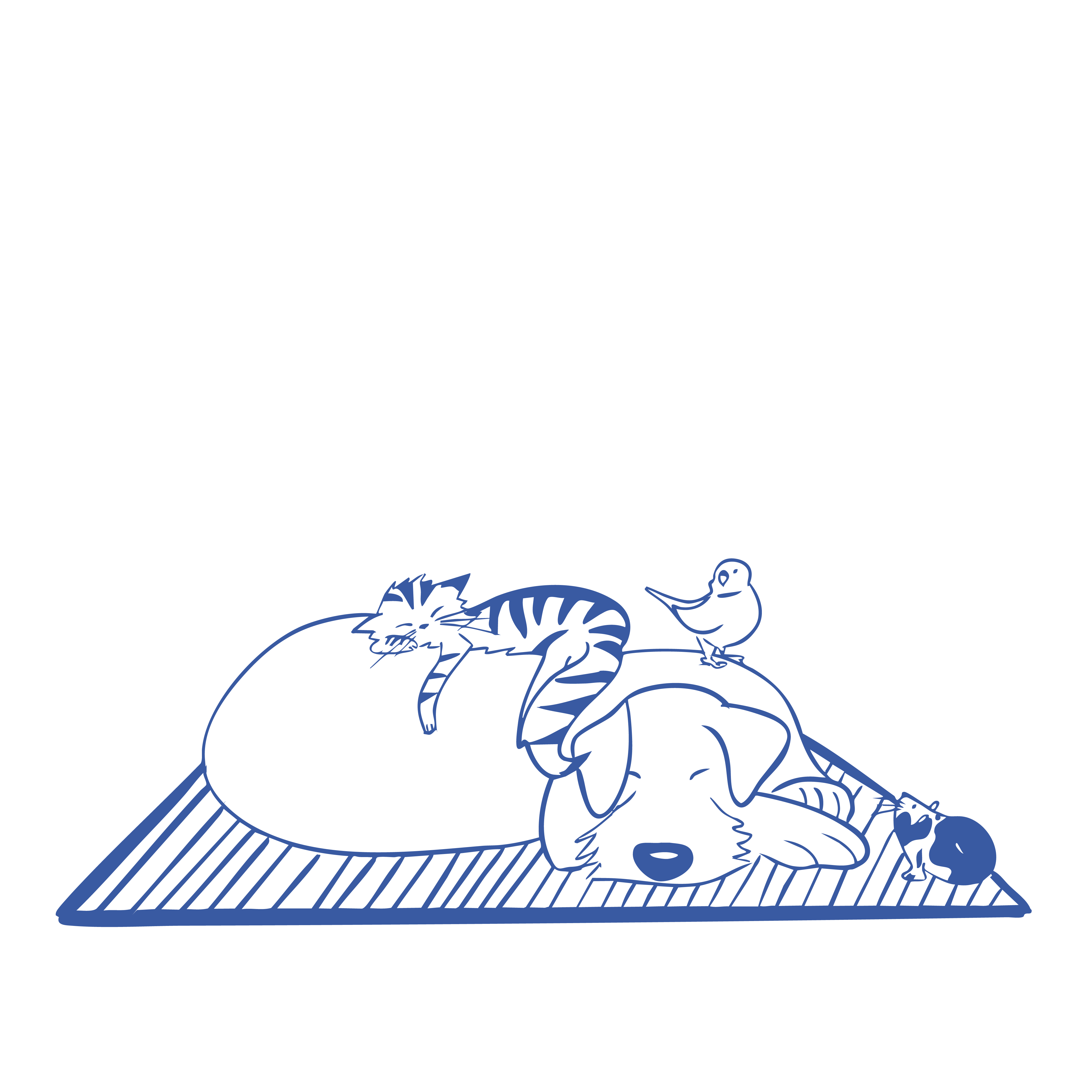 illustration animaux LAP