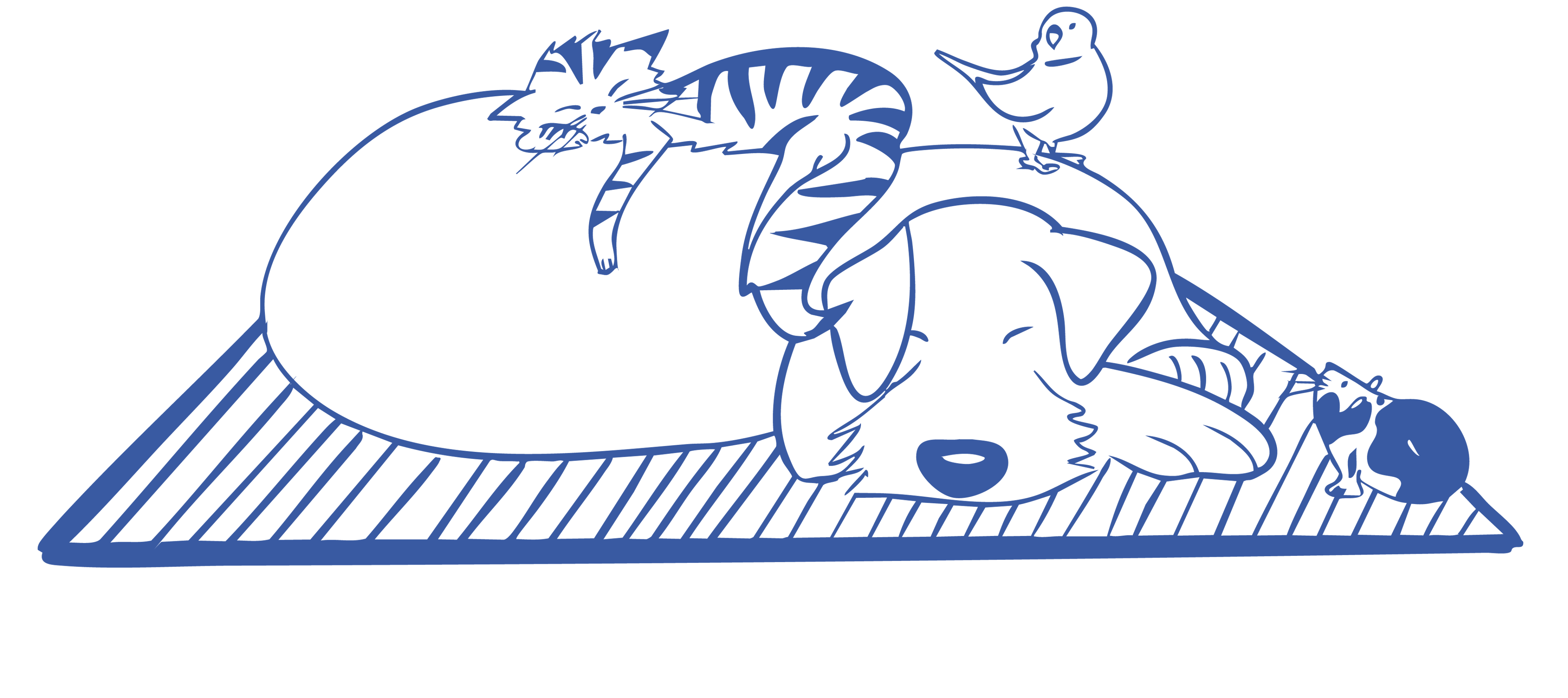 illustration animaux LAP