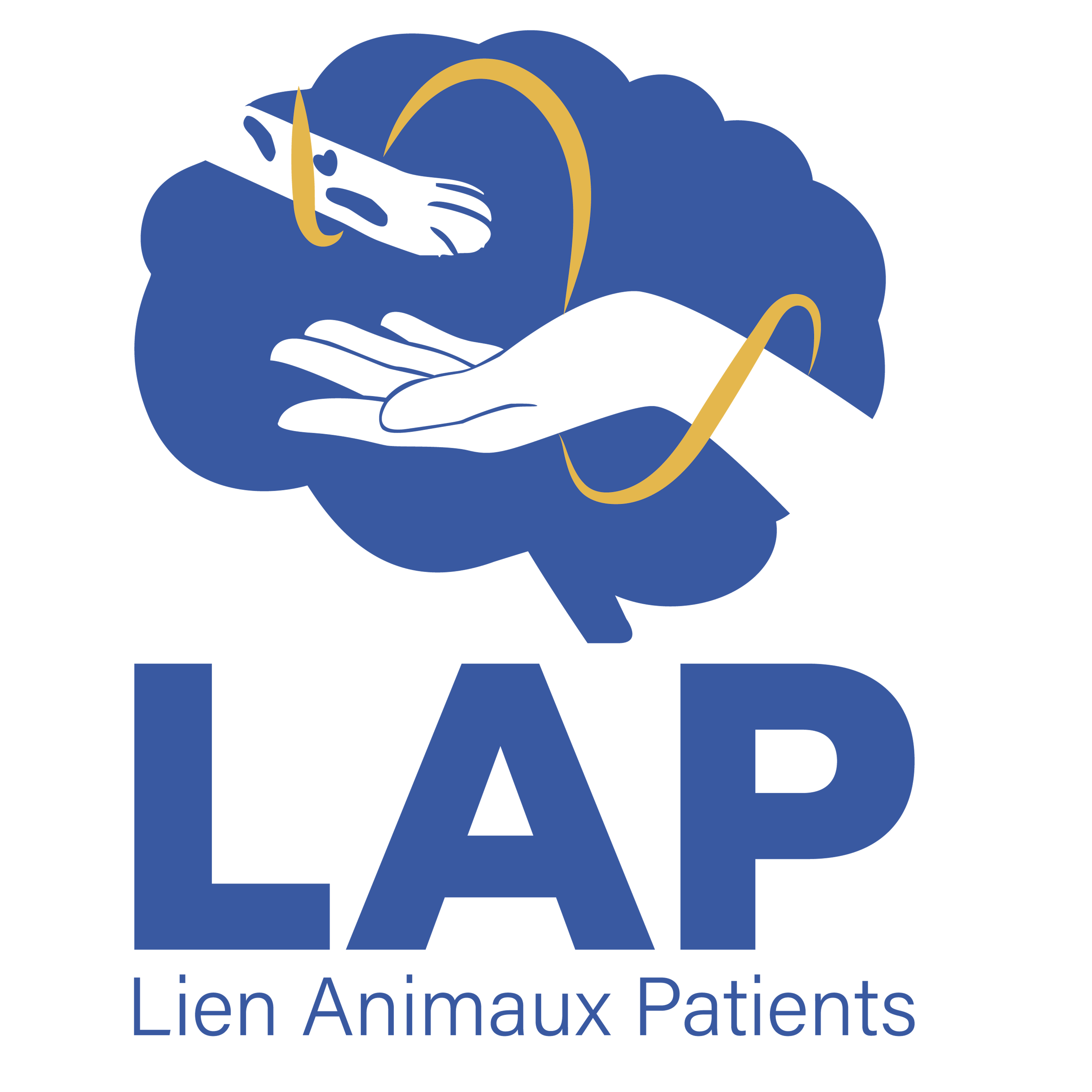 logo LAP
