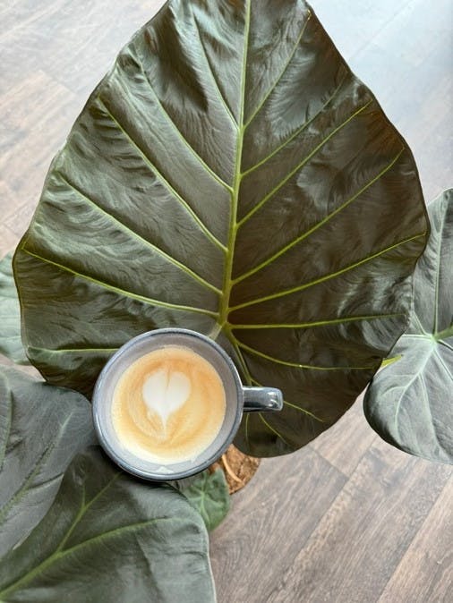 café
