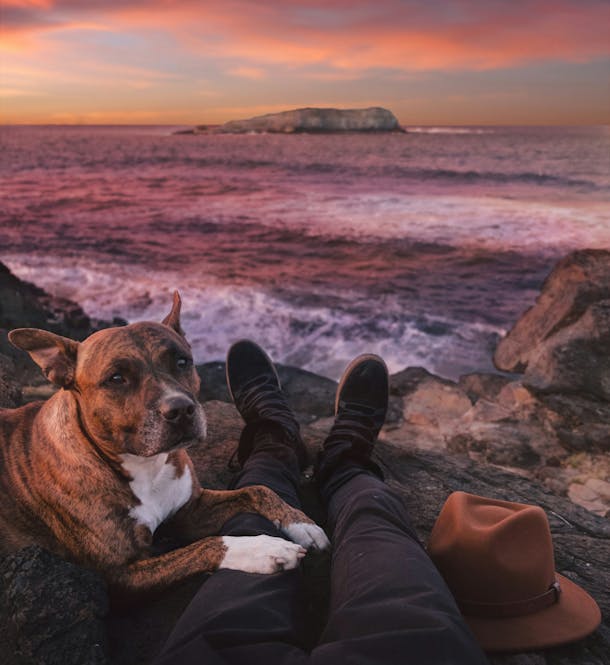 chien avec son maître au bord de l'eau