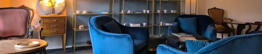 photo intérieur boutique ortie et plantin salon de thé