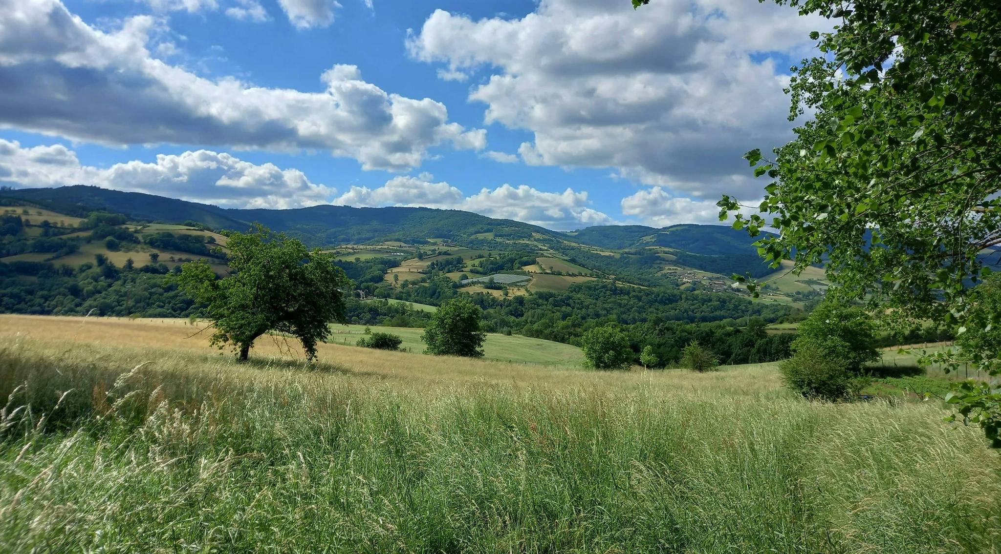 paysage monts du lyonnais