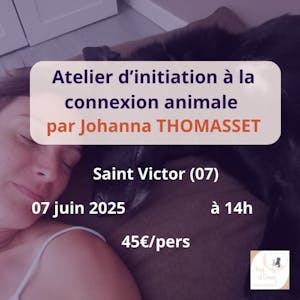 visuel femme et chien