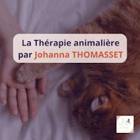 chat et humain pattes