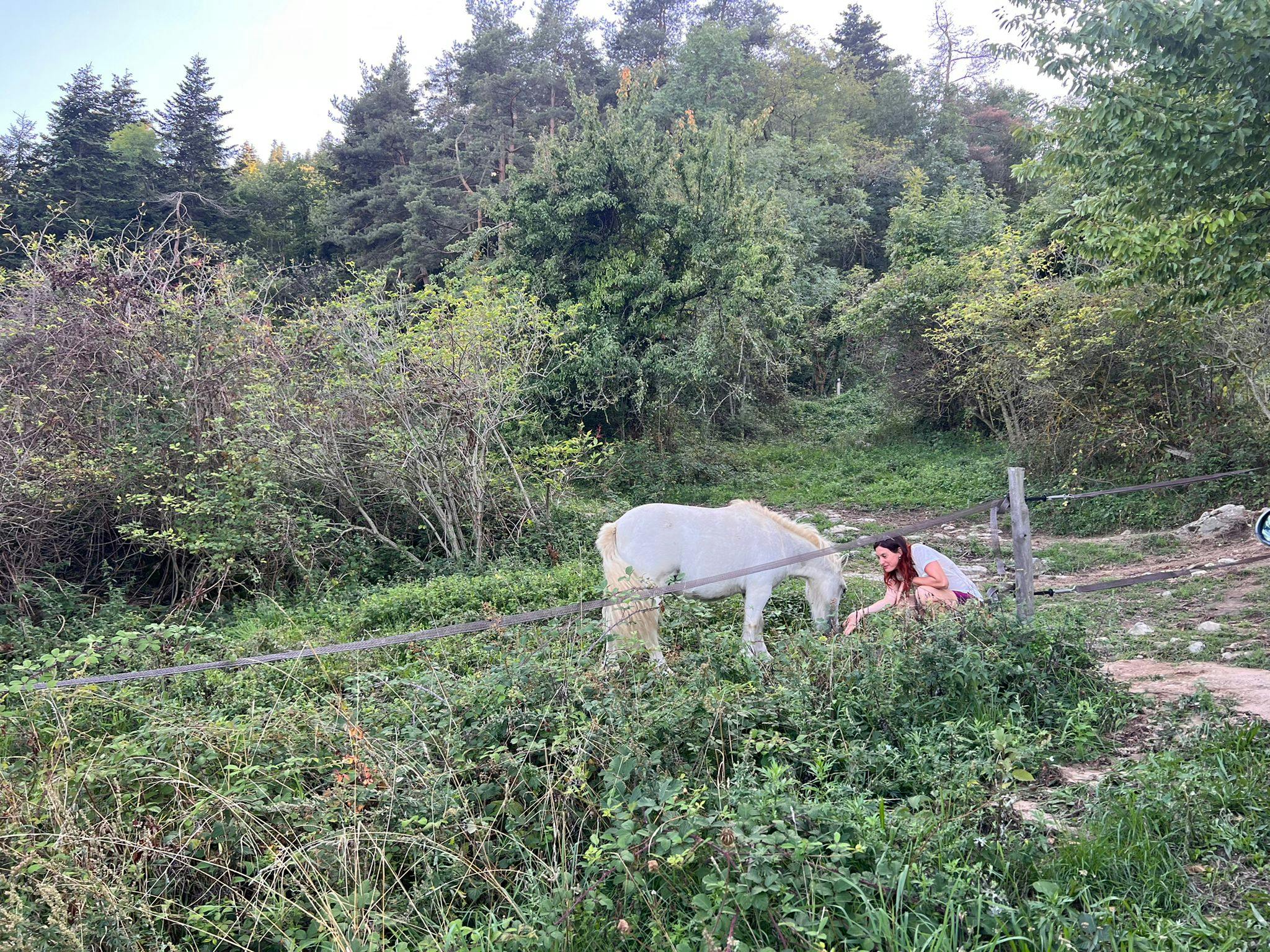 femme et cheval