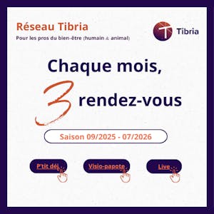 visuel texte