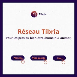 visuel réseau tibria