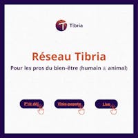 visuel réseau tibria