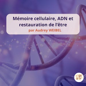 visuel article adn