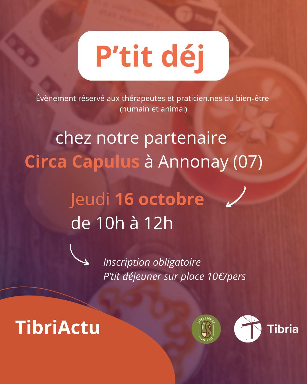 visuel pti dej annonay tibria