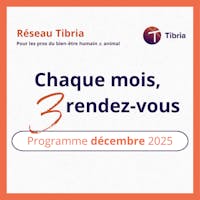 visuel programme events décembre 2025 tibria