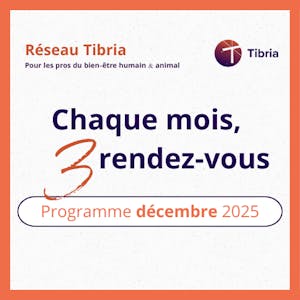 visuel programme events décembre 2025 tibria