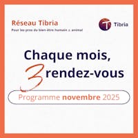 visuel programme tibria novembre 2025