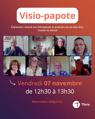 visio papote réseau Tibria 07.11.2025