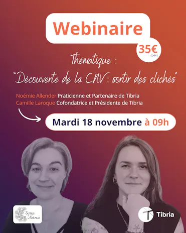 visuel webinaire Tibria avec Les Outils de Noémie 18.11.2025