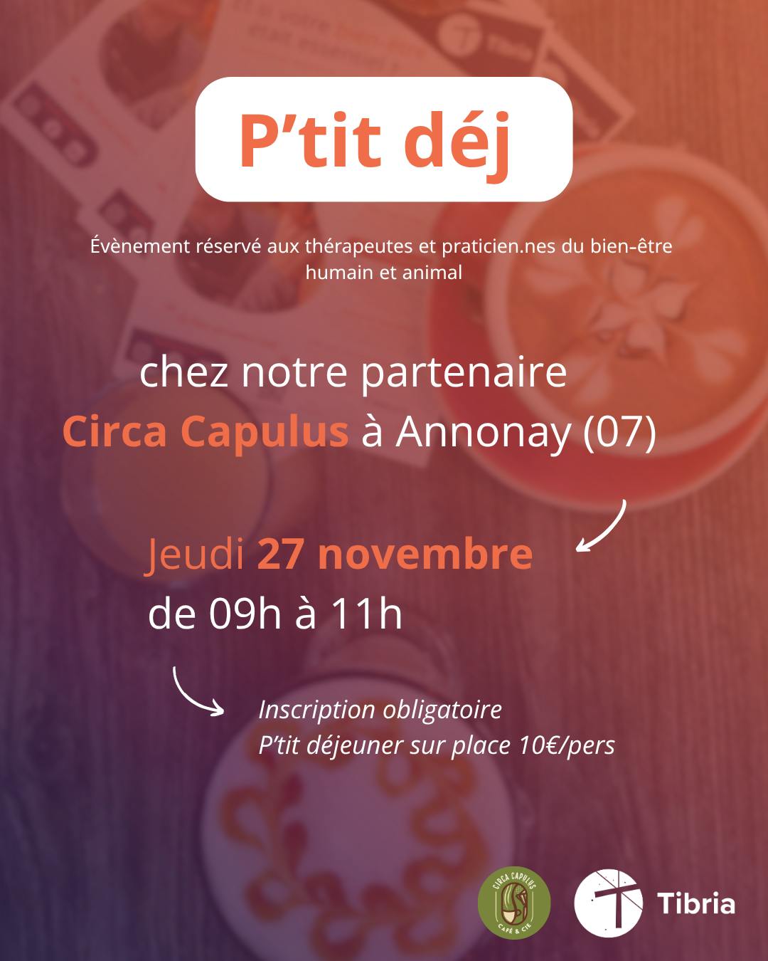 visuel pti dej réseau Tibria Annonay 27.11.2025