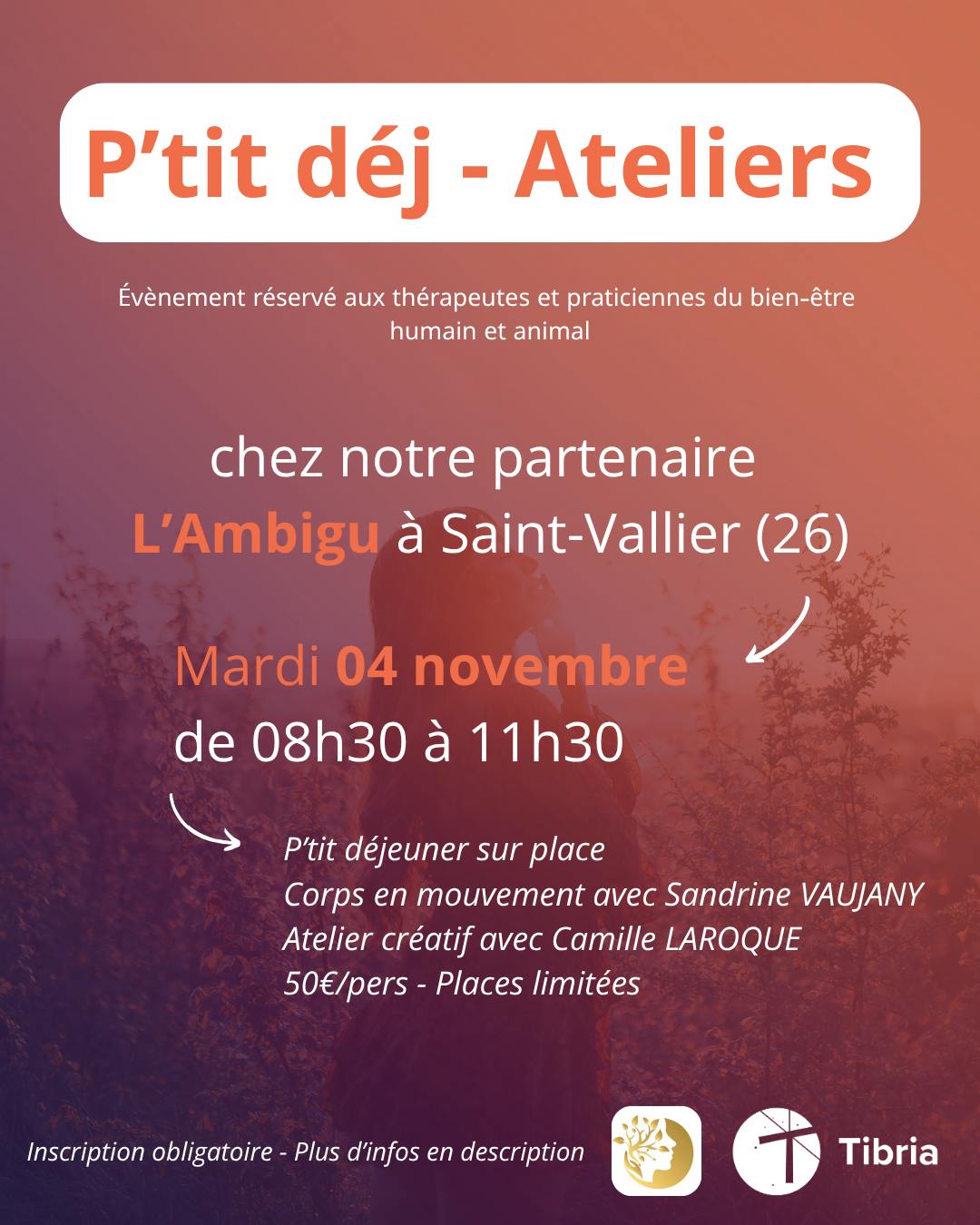 p'tit déjeuner ateliers réseau Tibria du 04.11.2025