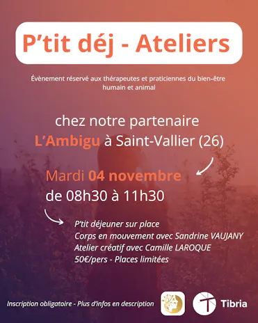 p'tit déjeuner ateliers réseau Tibria du 04.11.2025