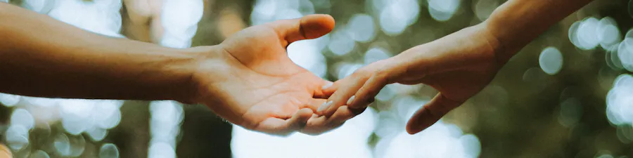 deux mains qui se relient en forêt