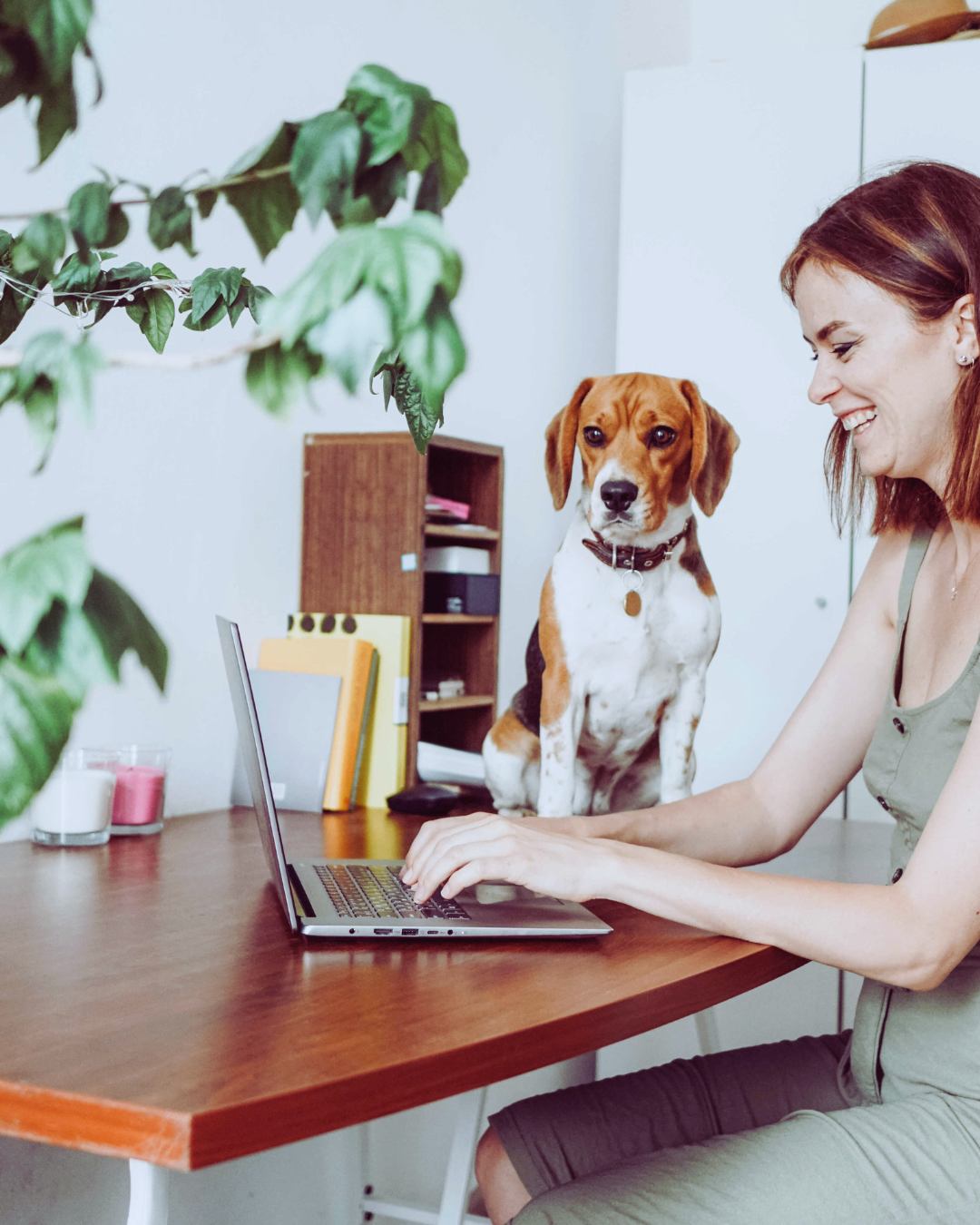 femme assise devant son ordinateur qui sourit avec son chien assis sur la table
