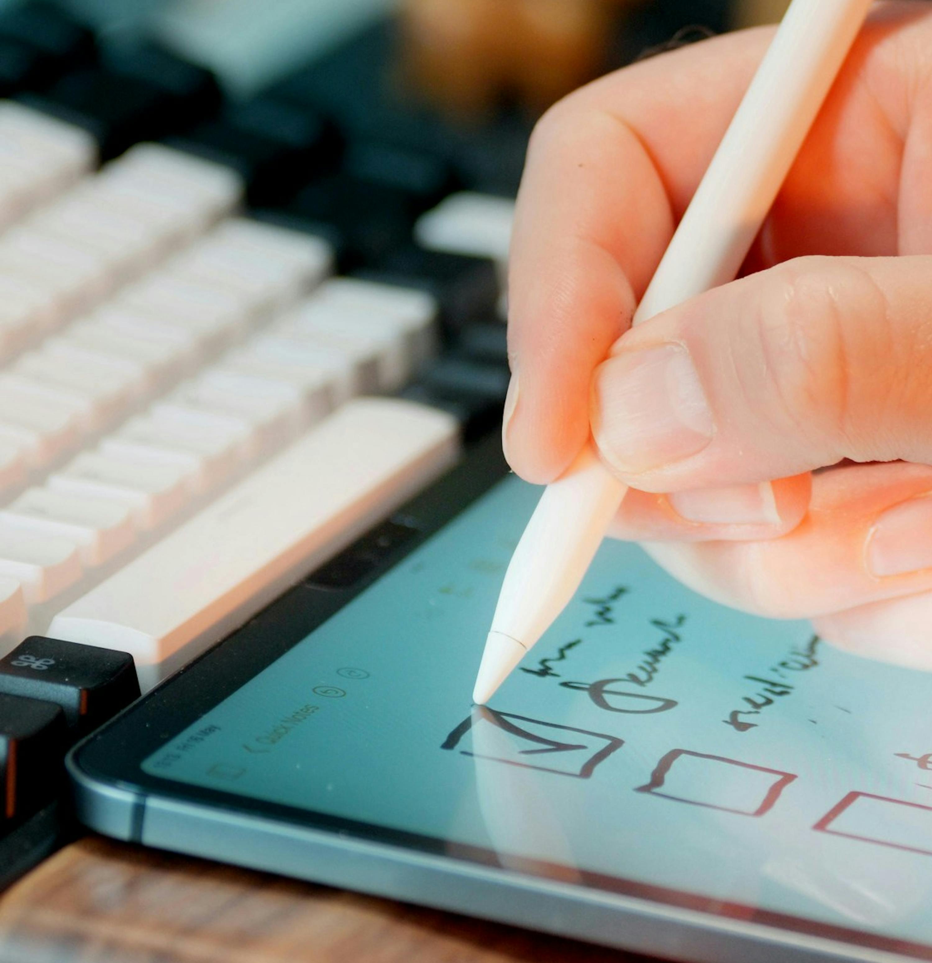 main qui coche une case