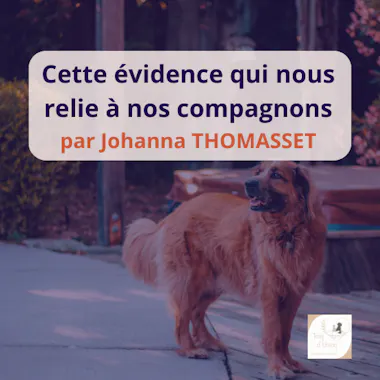 visuel article chien 