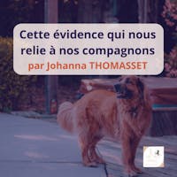 visuel article chien