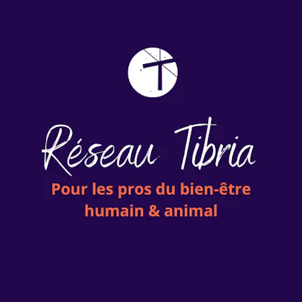 Le réseau Tibria et nos événements