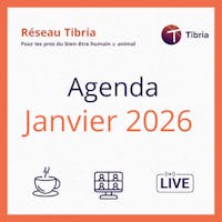 visuel programme events janvier 2026 réseau tibria